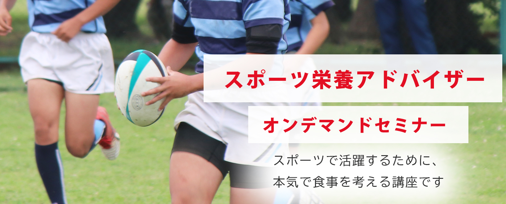 スポーツ栄養アドバイザー　アスリート　セミナー